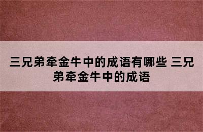 三兄弟牵金牛中的成语有哪些 三兄弟牵金牛中的成语